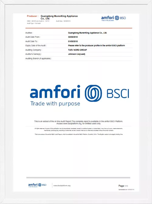 2018 BSCI report