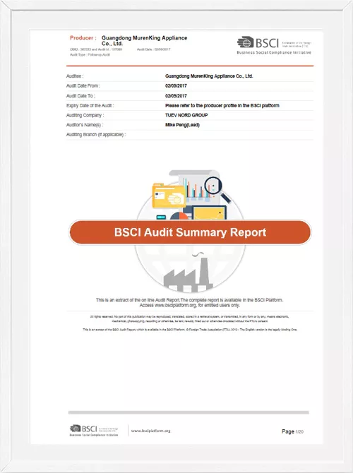 2017 BSCI report