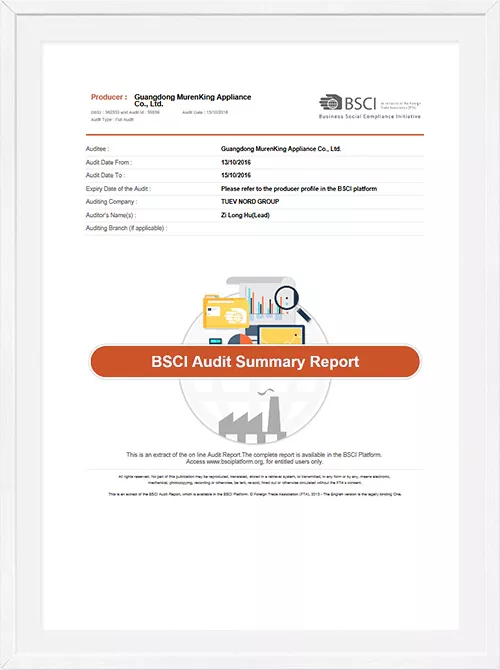2016 BSCI Audit report